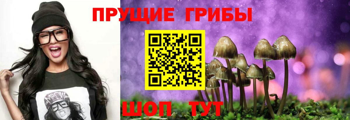Галлюциногенные грибы Psilocybe  Вход с VPN  Большой Камень 